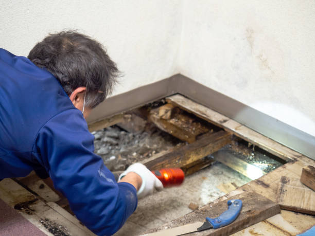 Water Damage Restoration in Moonachie, NJ