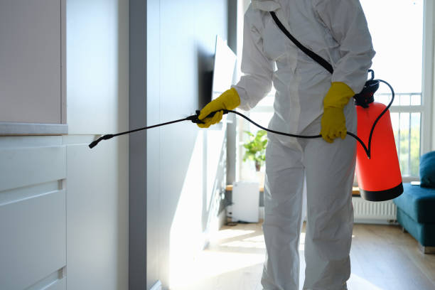 Best Certified Mold Removal  in Moonachie, NJ