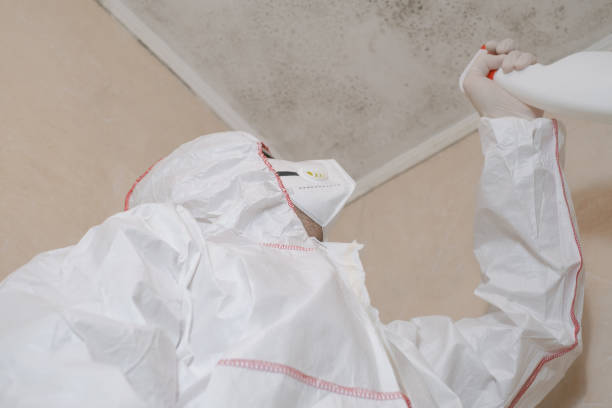 Best Certified Mold Removal  in Moonachie, NJ