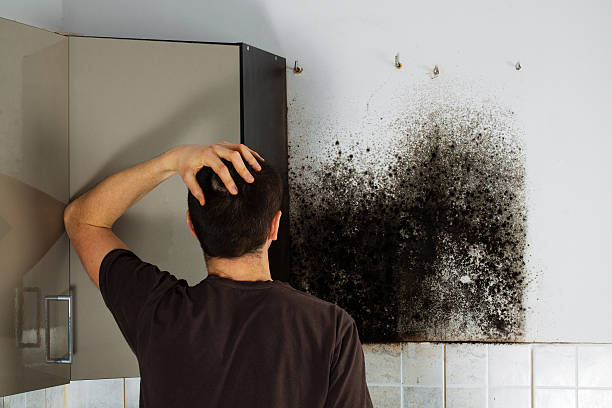 Best Residential Mold Removal  in Moonachie, NJ